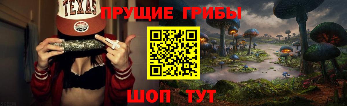 Псилоцибиновые грибы прущие грибы  Вход с VPN  Грязи 